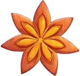 a flower with a yellow center.jpg